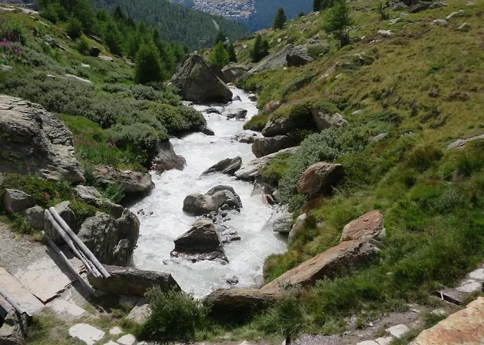 Kristall F アパート