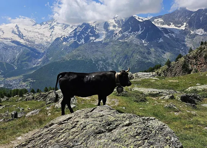 Appartement Kristall F *